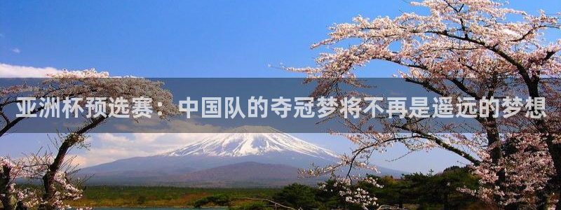 2026世界杯亚洲区预选赛：亚洲杯预选赛：中国队的夺冠梦将不再是遥远的梦想