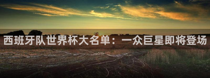2026年世界杯时间表：西班牙队世界杯大名单：一众巨星即将登场
