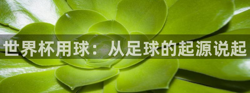 世界杯足球直播：世界杯用球：从足球的起源说起