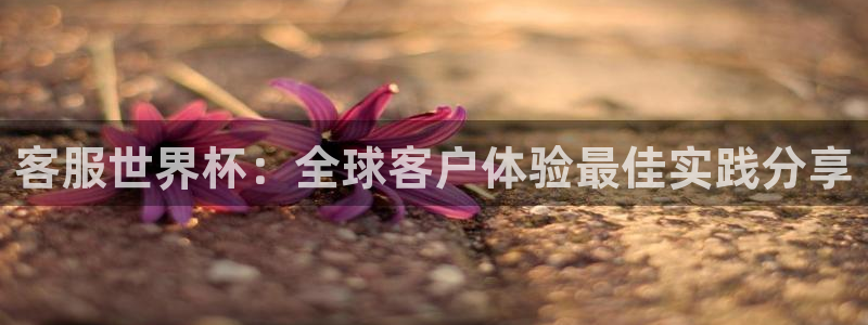 世界杯直播观看：客服世界杯：全球客户体验最佳实践分享