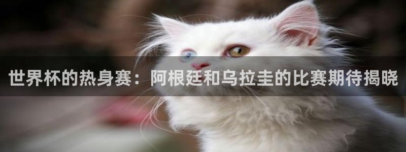 世界杯亚洲预选赛18强赛程：世界杯的热身赛：阿根廷和乌拉圭的比赛期待揭晓