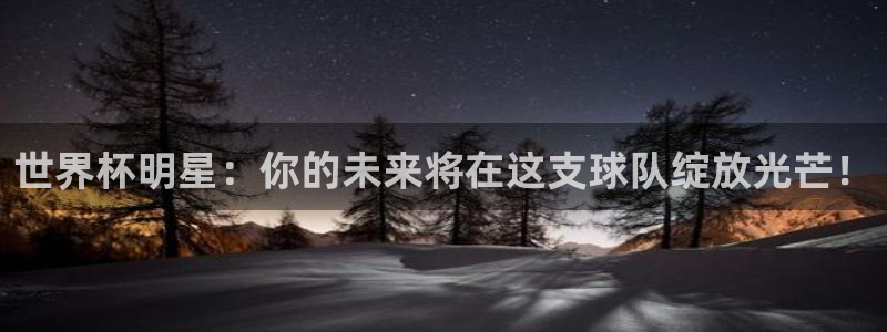 世界杯赛程2026：世界杯明星：你的未来将在这支球队绽放光芒！