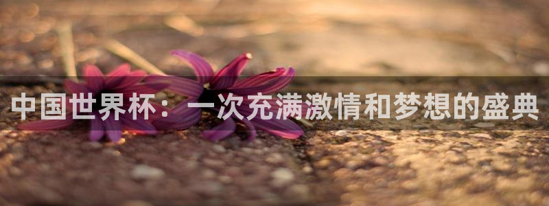看世界杯：中国世界杯：一次充满激情和梦想的盛典