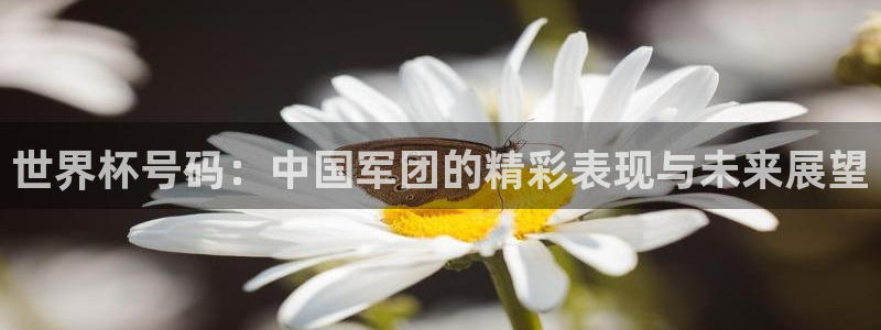 世界杯预选赛赛程表：世界杯号码：中国军团的精彩表现与未来展望