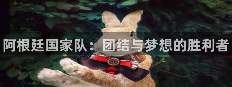 2026世界杯日期：阿根廷国家队：团结与梦想的胜利者