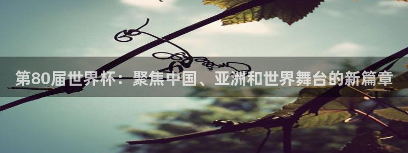 世预赛赛程表：第80届世界杯：聚焦中国、亚洲和世界舞台的新篇章