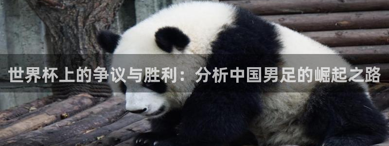 2026世界杯官网：世界杯上的争议与胜利：分析中国男足的崛起之路