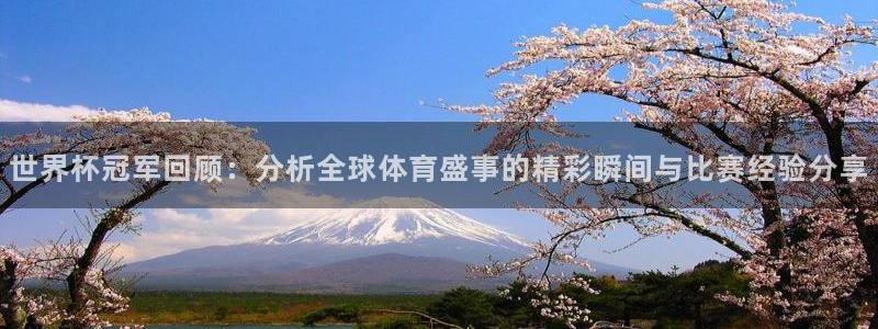 世界杯视频：世界杯冠军回顾：分析全球体育盛事的精彩瞬间与比赛经验分享
